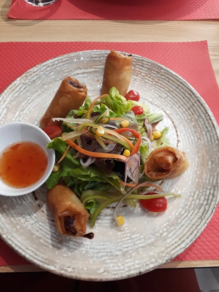 Nems Au Poulet Maison Poulet Légumes Feuilles de Brick Maison Salade